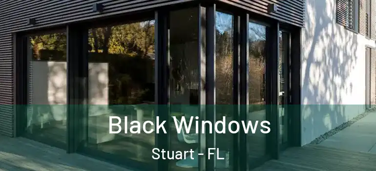 Black Windows Stuart - FL