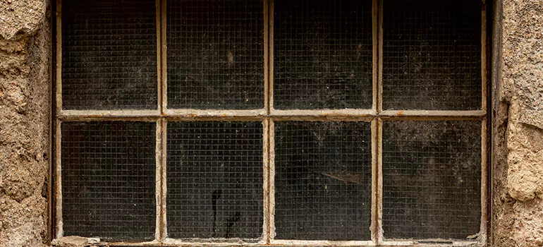 Traditional Double Front Doors in Stuart, FL