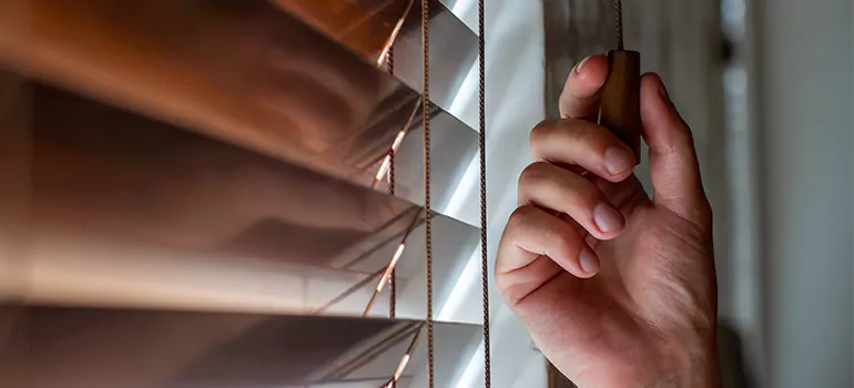 Double Roller Blinds in Stuart, FL