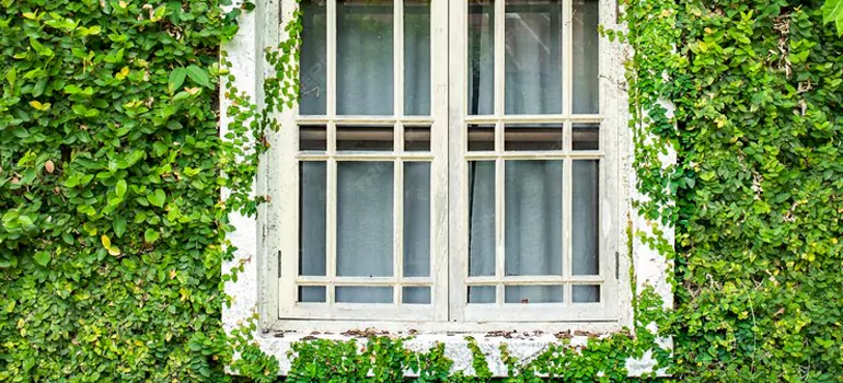 Garden Window Repair Near Me in Stuart, FL