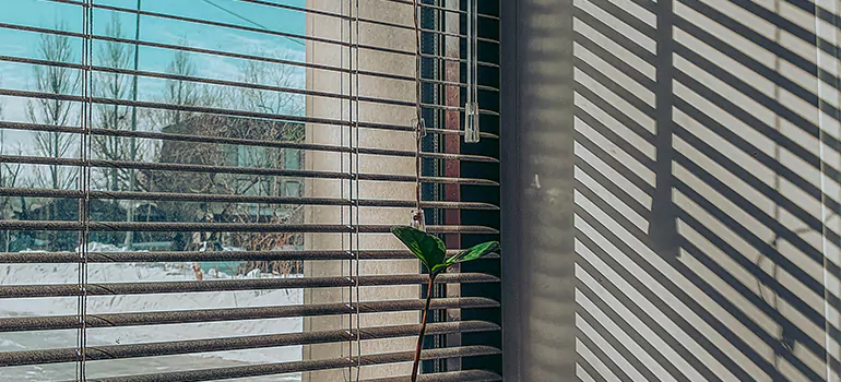 Commercial Window Blinds in Stuart, FL