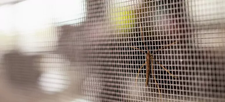 Repair Mosquito Mesh For Windows in Stuart, FL