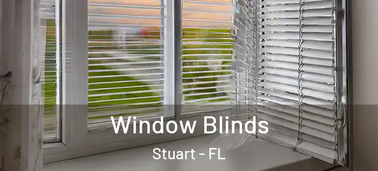 Window Blinds Stuart - FL