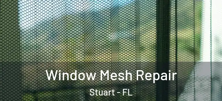 Window Mesh Repair Stuart - FL
