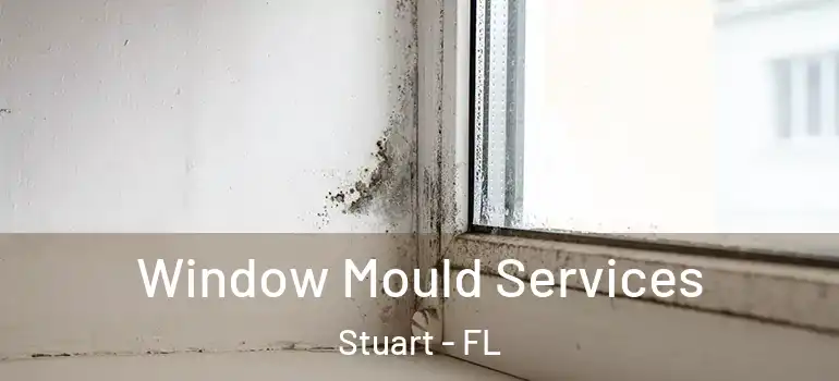 Window Mould Services Stuart - FL